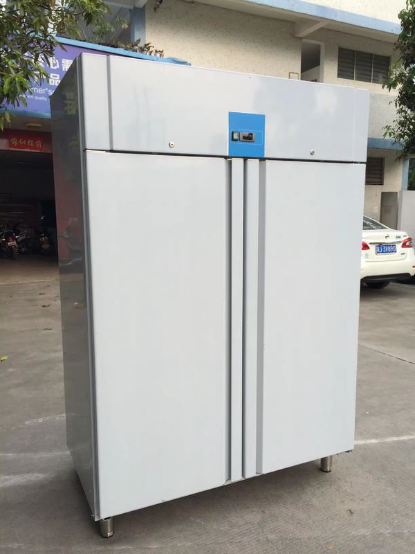 Commercial Kitchen Freezer Single Temperature Stainless Steel Double Door Refrigerator Air Cooled Refrigerator