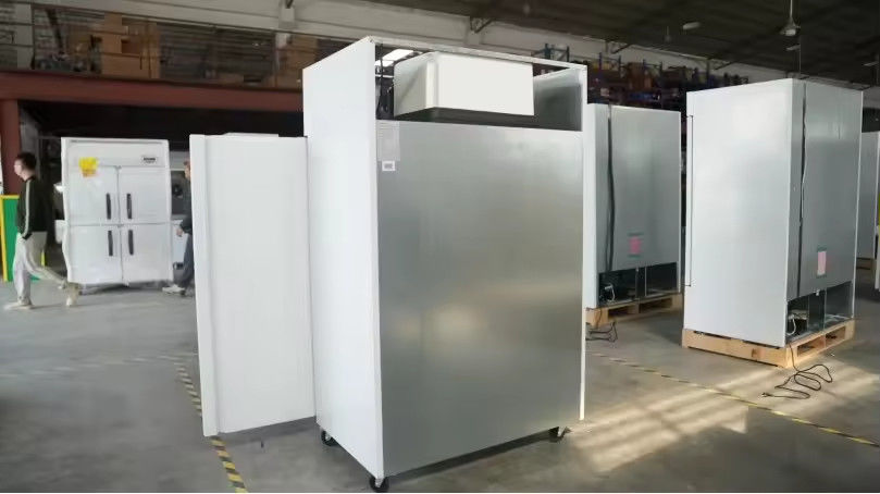 Commercial Kitchen Freezer Single Temperature Stainless Steel Double Door Refrigerator Air Cooled Refrigerator