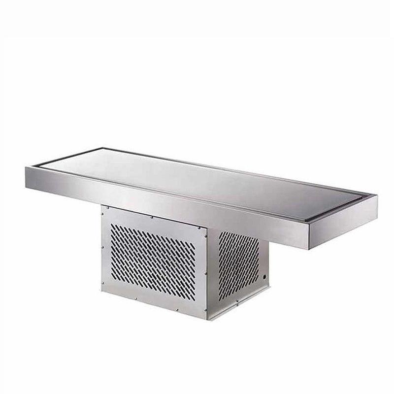 Stainless Steel Exterior Hotel Buffet Built-In Cold Plate Freezer Fresh Food Display Table Commercial Refrigeration Equipment