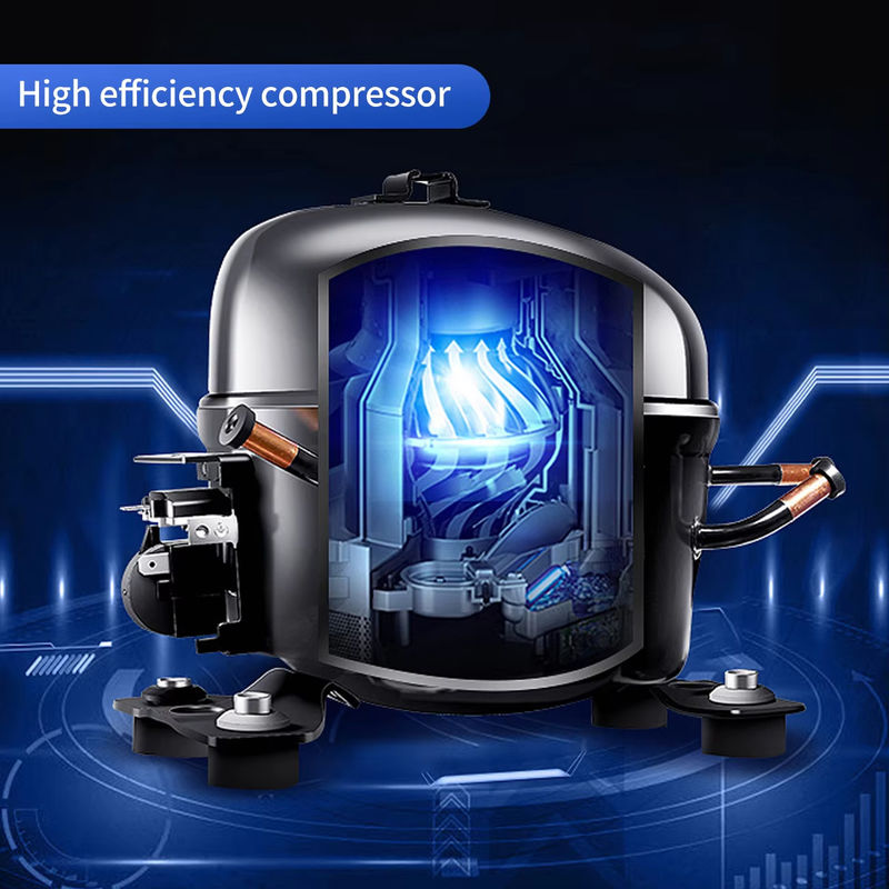 Wholesale Large Capacity Commercial Refrigerator 6 Doors Heavy Duty Independent Freezer Single-Temperature for Supermarket